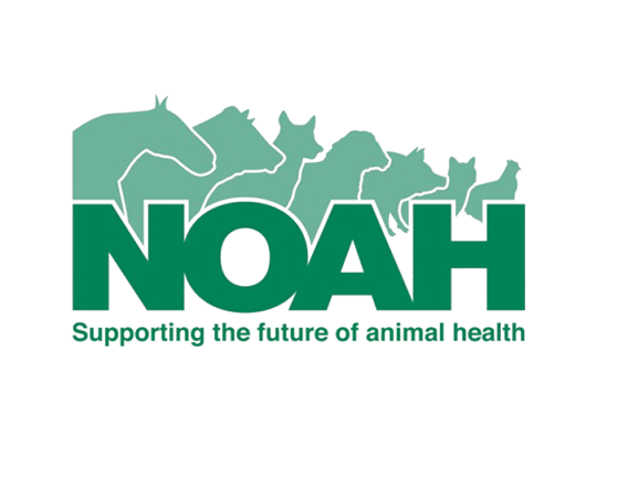 NOAH Logo PNG