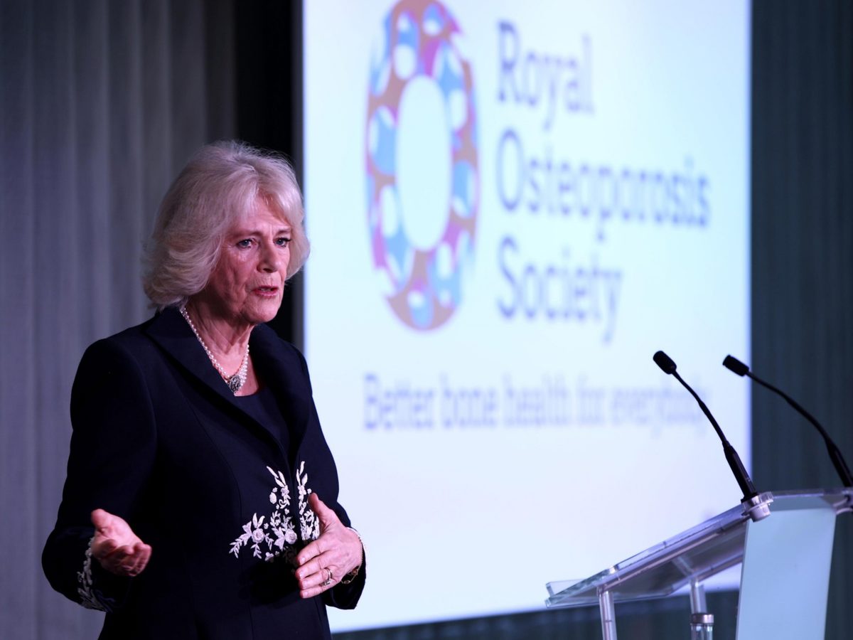 Celebrating the Impact of the Royal Osteoporosis Society — inline image 2