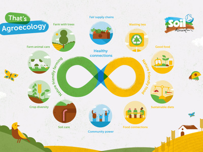 New Website for Soil Association's Agroecology-TRANSECT Initiative — listing image