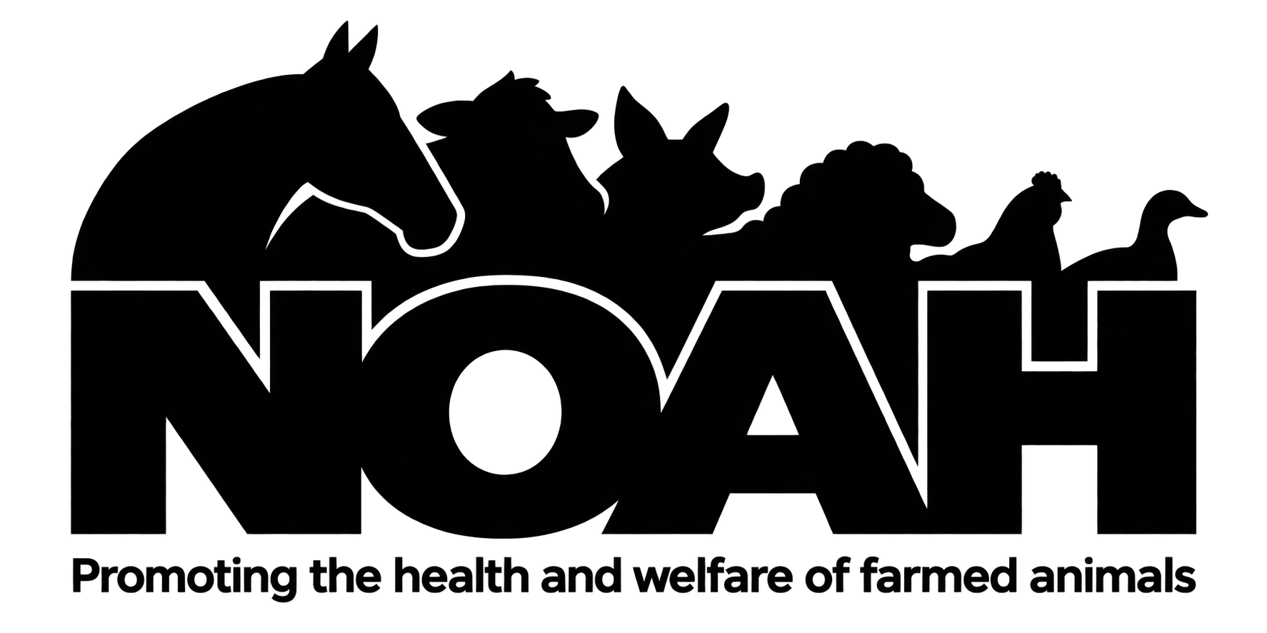 NOAH.png